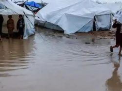 العفو الدولية: "إسرائيل" تتحمل مسؤولية وفيات المنخفض بغزة وليس الطقس وحده