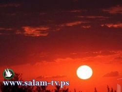 حالة الطقس: الجو صافٍ ولا يطرأ تغير على درجات الحرارة