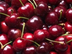دراسة: تناول الكرز يقلل من الإصابة بنوبات النقرس