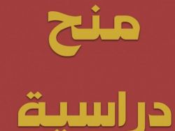 "التعليم العالي" تعلن عن منح دراسية في إيطاليا ومالطا