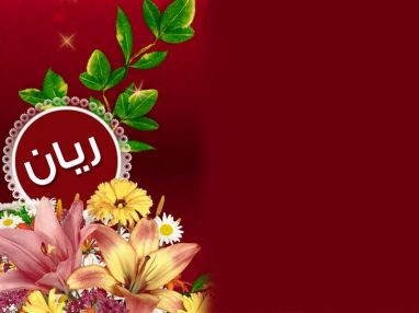 تهنئة بمولود بكر من الأخ أمجد مهداوي (أبو عدنان)