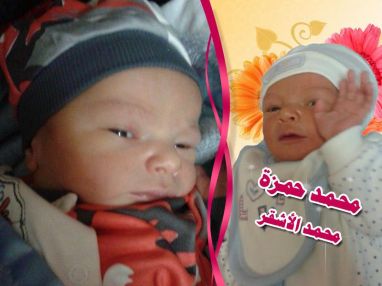 تهنئة بالمولود البكر محمد حمزة الأشقر