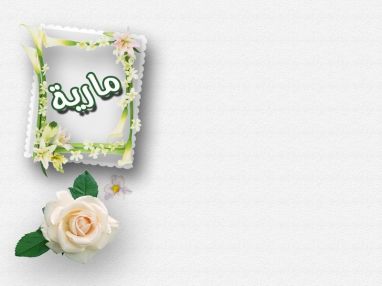 تهنئة بالمولودة البكر ماريه مصفطى ابراهيم ابو حسيب