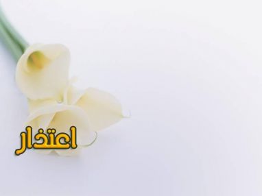 اعتذار من أحمد عبد اللطيف الزيبادي وأولاده