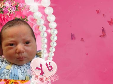 تهنئة بالمولودة البكر مقدمة من الوالد الحاج عمر أبو سماحه