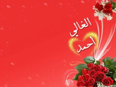 طولكرم - الإمارات - لمهندس خالد محمد اسليم (أبو محمد)