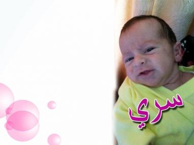 تهنئة بالمولود الجديد سري محمود كتانه مقدمة من تلفزيون السلام