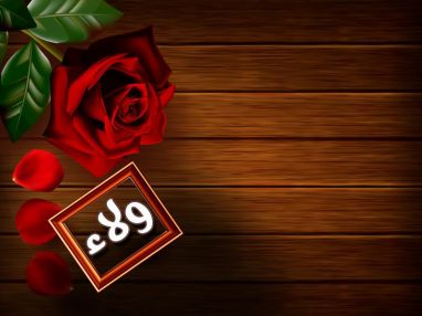 تهنئة بالتخرج للغالية ولاء فهيم غانم