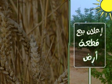 إعلان بيع أرض