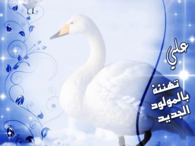 تهنئة بالمولود الجديد علي للنسيب والاخ ماجد الاعرج