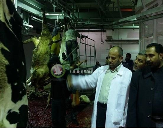 المنتجات منتهية الصلاحية كابوس يؤرق الغزيين تلفزيون السلام